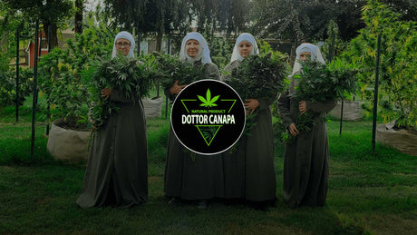 Conoscete Le "Suore della Cannabis"?