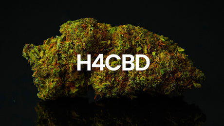 H4CBD: Cos'è?