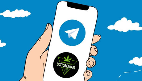 Gruppo Telegram