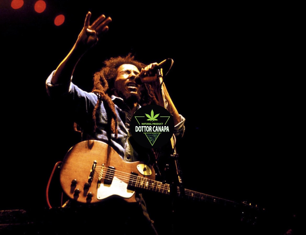 One love; il libro per viaggiare nell'anima di Bob Marley