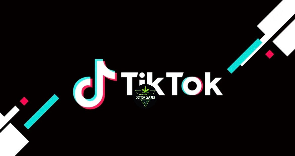 CONTEST LIVE TIK TOK