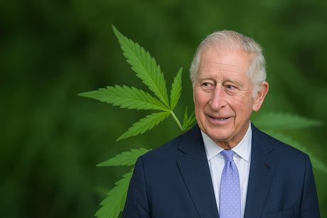 👑 Re Carlo III usa Cannabis per trattare il Cancro