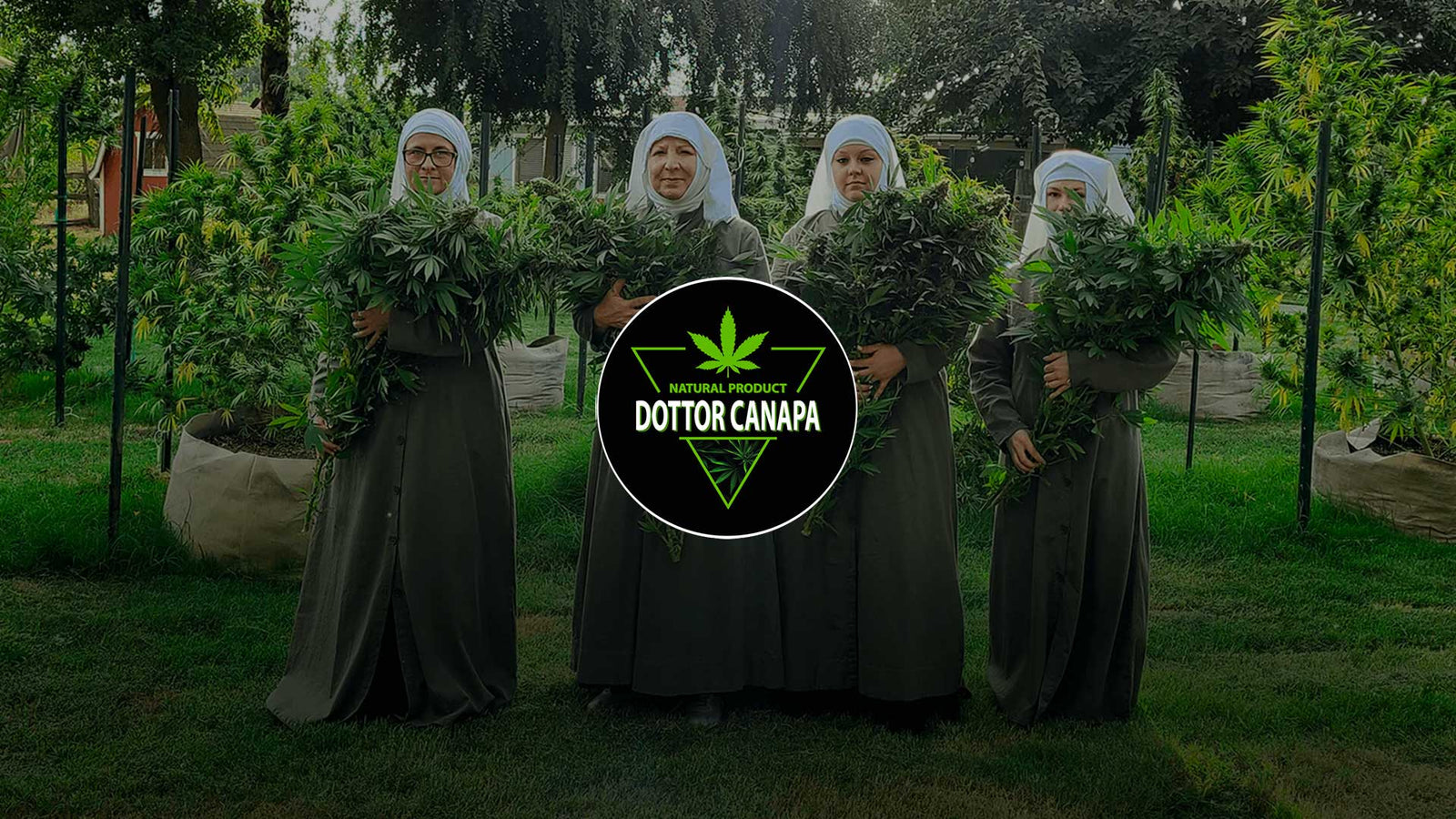 Conoscete Le  "Suore della Cannabis"?