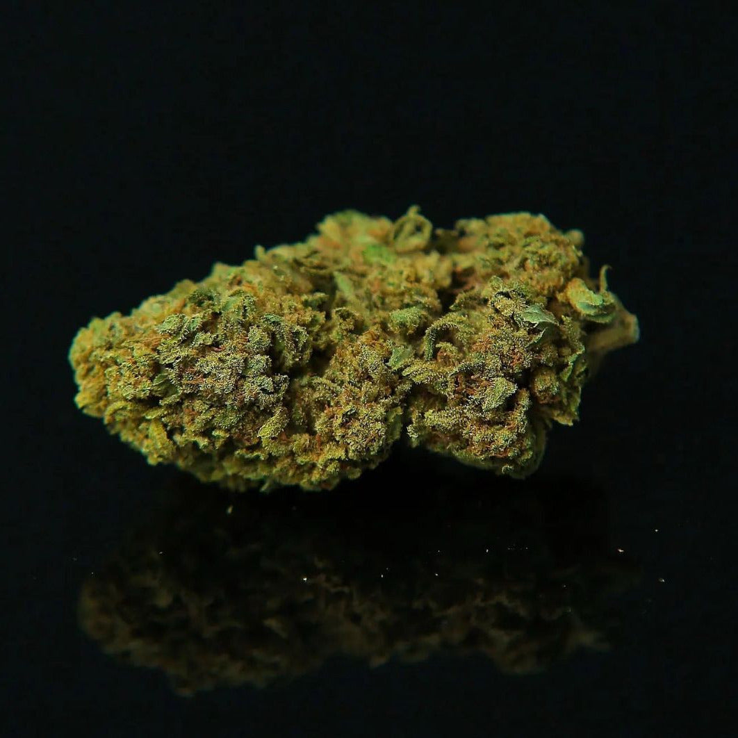EL FUEGO THCJD (40%)